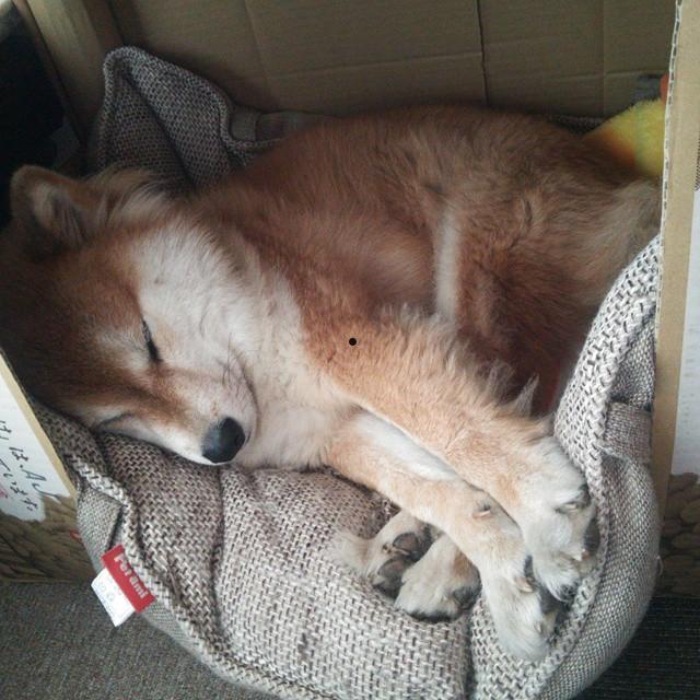 韩国最经典的电视剧和电影排名